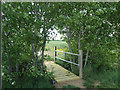 TL8106 : Footbridge on footpath, farmland, Woodham Walter by Roger Jones