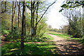 Greensand Way entering Limpsfield Common