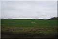 Farmland by the East Coastway Line