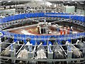 Rotary Parlour at Broadwigg Farm