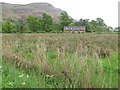 Damp ground, Powis Mains