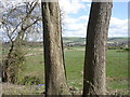 View towards Truleigh Hill