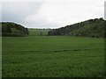 Broad  Dale  with  York  Bank  to  the  Right