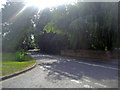 Junction of Bean Oak Road and Plough Lane