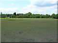 Farmland off Kirton Lane