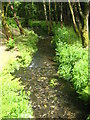 The stream at Broadgate