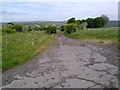 Path between Medomsley and High Westwood