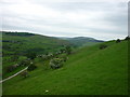 Steep hillside above Hazels