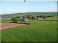 Mid Devon : Grassy Field & Hedgerows