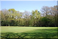 Green, Limpsfield Chart Golf Course