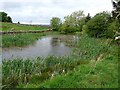 NY8278 : Pond near Hetherington Crag by Oliver Dixon