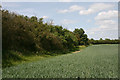 Former railway near Purleigh