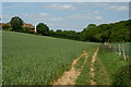 Public Bridleway at Kingswood, Surrey