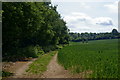 Public Bridleway at Kingswood, Surrey