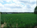 Farmland off the A630