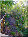 Landslip in Daff Glen