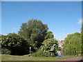 Pond in Folkestone Gardens