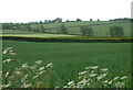 Fields near Springwood Farm