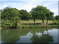 Extended garden by Basingstoke canal