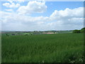 Farmland off Melton Hill Lane