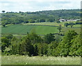 Countryside view, Brindwoodgate