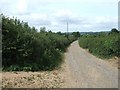 Track to Holcombe Barton