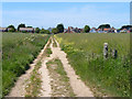 Footpath at Milford on Sea