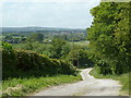 Track, Pig Hills Lane