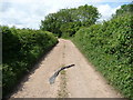 Farm track near Wenvoe Wood