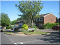 Houses in Pershore Road