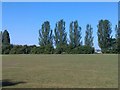 View across field, Mountsfield Park