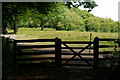 Gateway to Colley Hill, Surrey