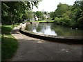 Pond in Priory Park, Bodmin