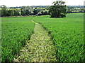 Footpath towards Carter