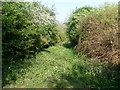 Former Railway Track near Tingewick Mill