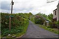 Track To Laggan Hill