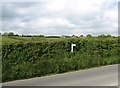 High Cornish bank and fields next to minor road East of Pantersbridge