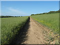 Footpath to Barville Road