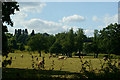 Farmland at Gatton, Surrey