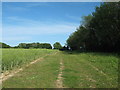 Bridleway to Malmains Farm