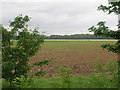 Farmland near Edenthorpe