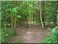 SE6408 : Path through woodland near Dunsville by JThomas