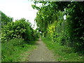 Path beside the Stainforth and Keadby Canal heading west