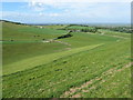 Steyning Bowl