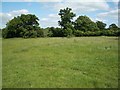 Grassland near Holwell