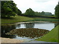 Pond in the grounds of Barlborough Hall School