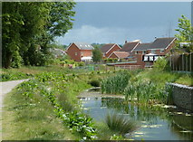 SK4478 : Chesterfield Canal and new houses, Renishaw by Andrew Hill