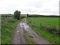 Lane, Tattymoyle Lower