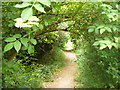 Footpath North of Anstey Park