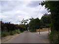 TM3050 : Summer Lane, Bromeswell by Geographer